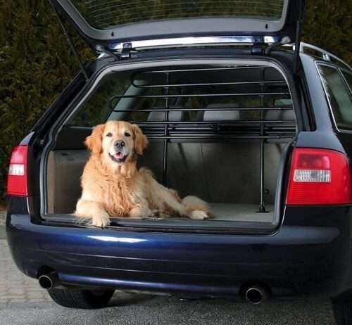 Zwierzak w samochodzie Zwierzak w samochodzie