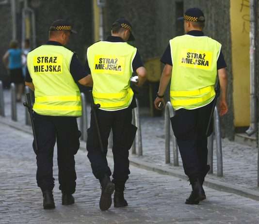 Kto może dawać mandaty? Kto może dawać mandaty