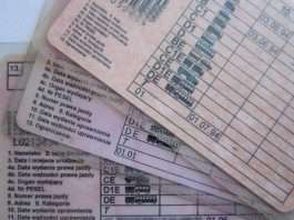 Wtórnik prawa jazdy Wtórnik prawa jazdy